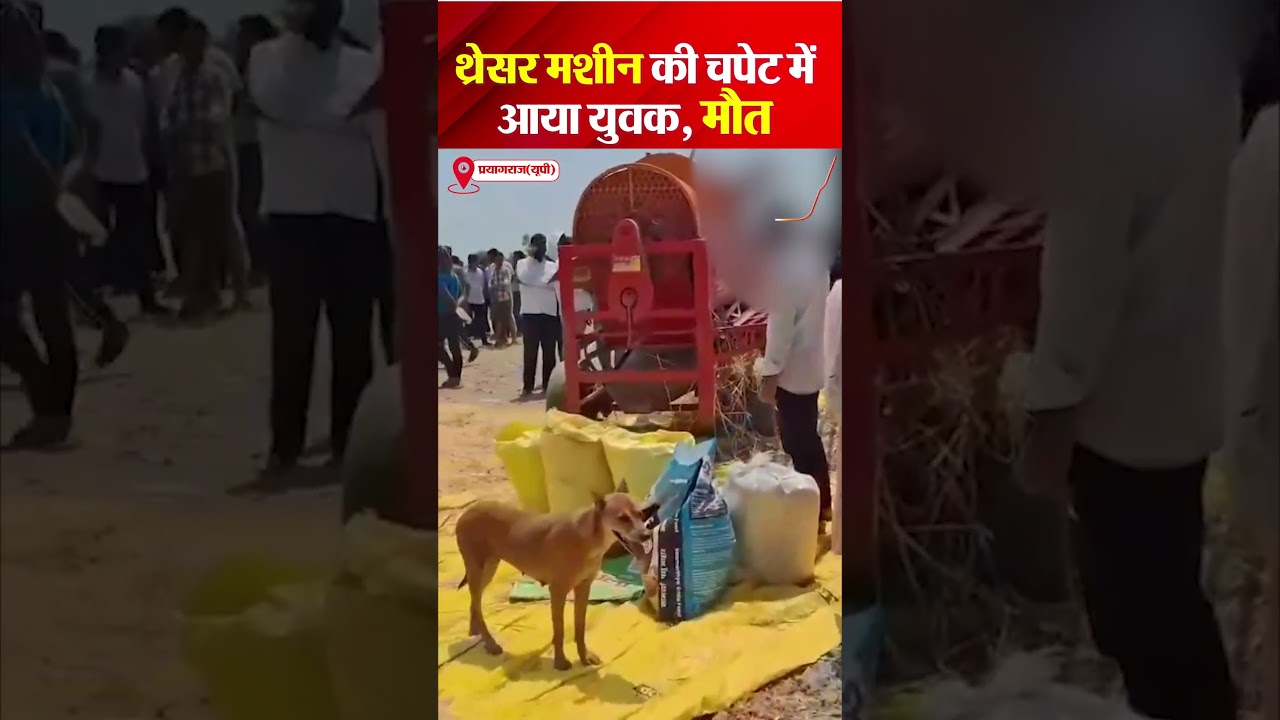 Young man hit by thresher machine, dies #viralshorts