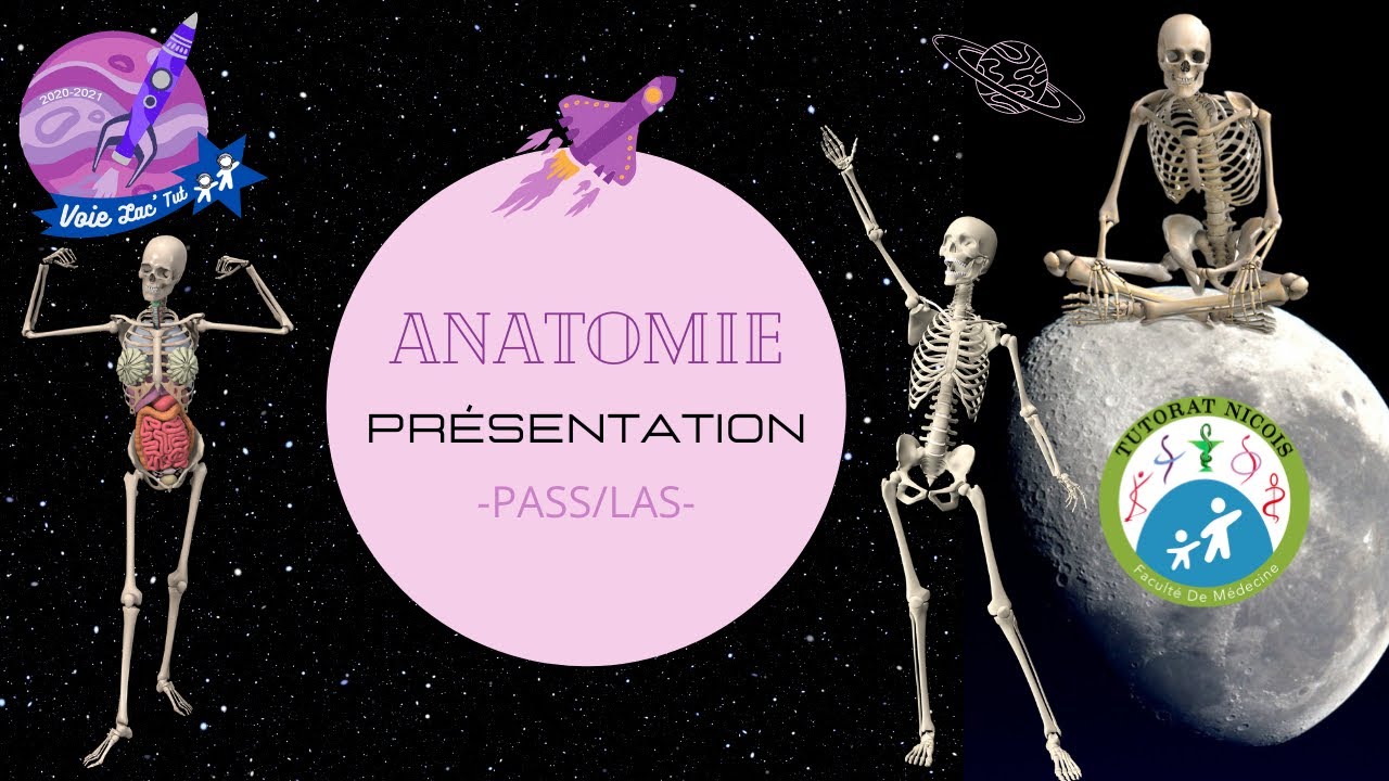 TTR S2-[PASS/LAS]-UE(T3) / Anatomie - Présentation Anatomie Générale - 1