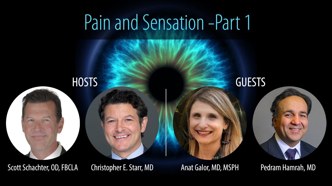 TFOS DEWS II Pain and Sensation-Part 1 with Anat Galor, MD, MSPH, and Pedram Hamrah, MD