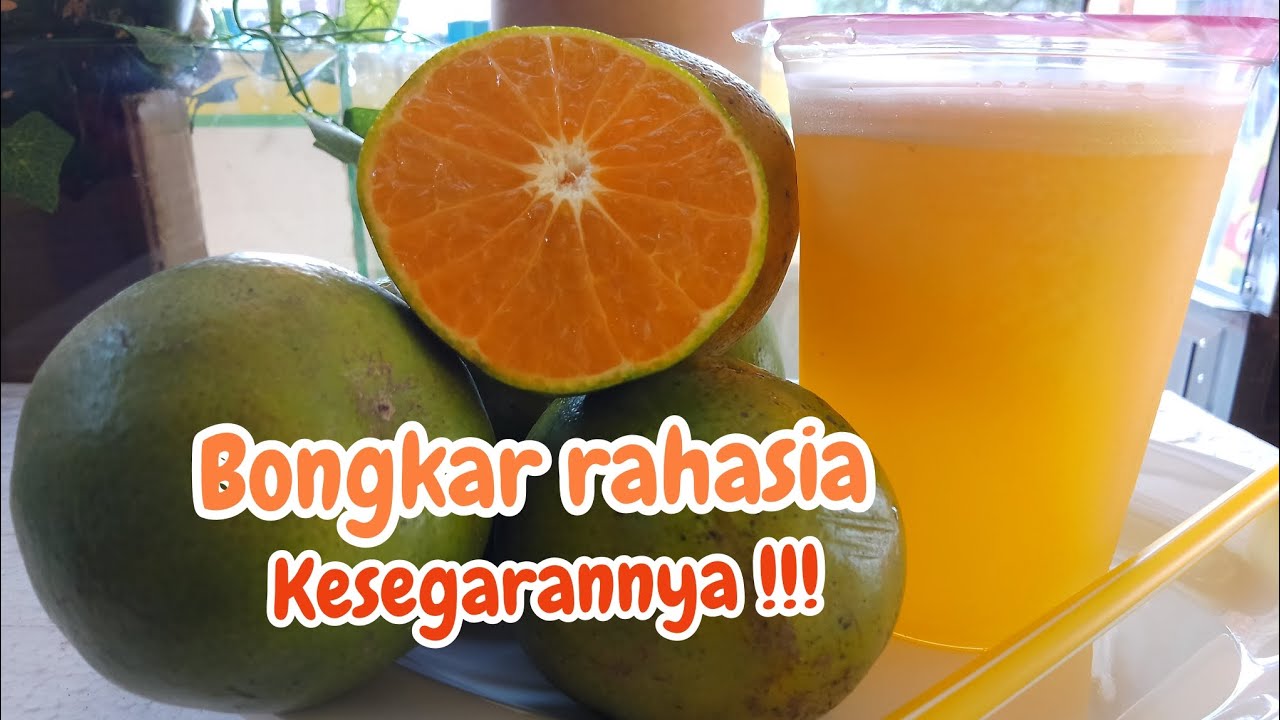 cara membuat jus jeruk untuk dijual