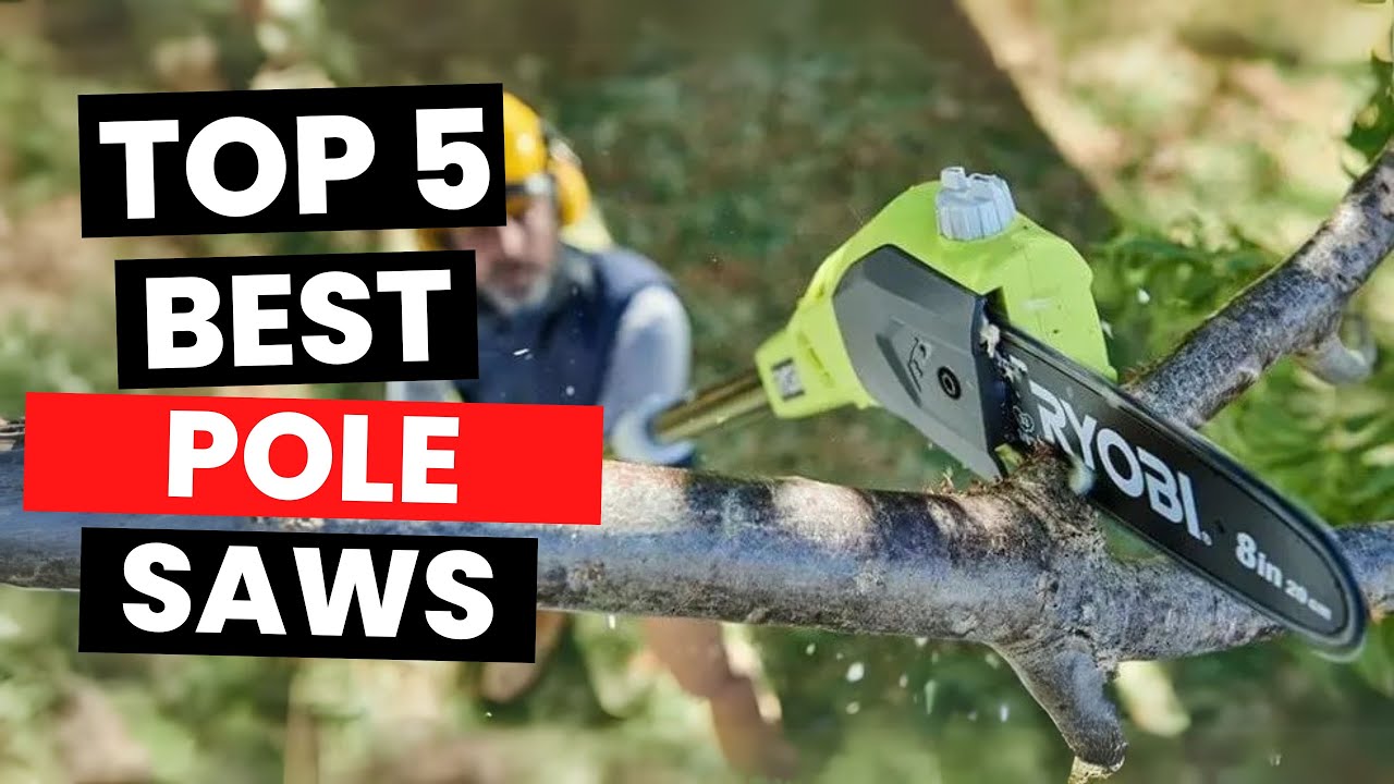 Best Pole Saws 2025 - (Watch Before You Purchase)