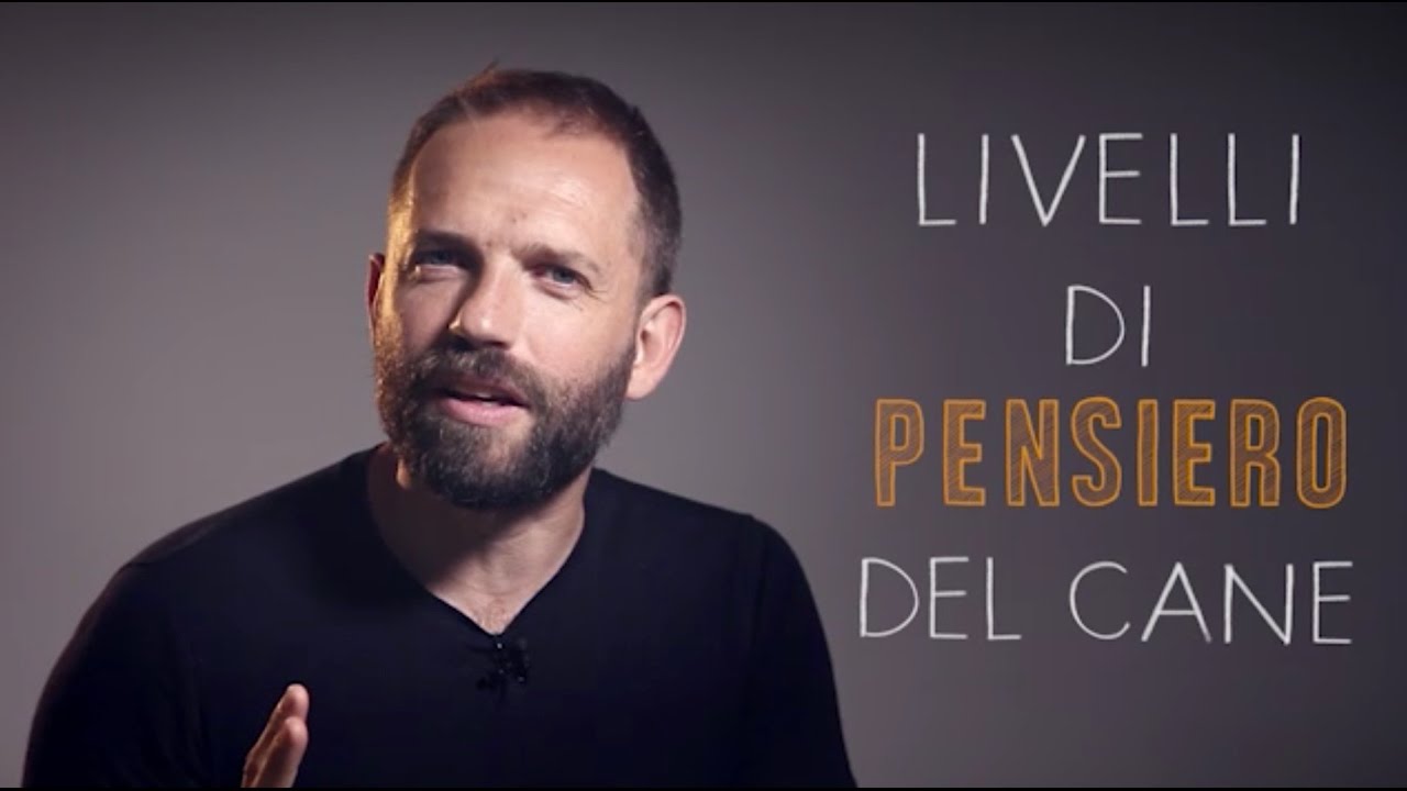 Mente e comportamento del cane – I 6 livelli di apprendimento