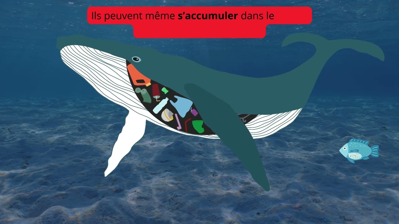 Les microplastiques : une pollution invisible