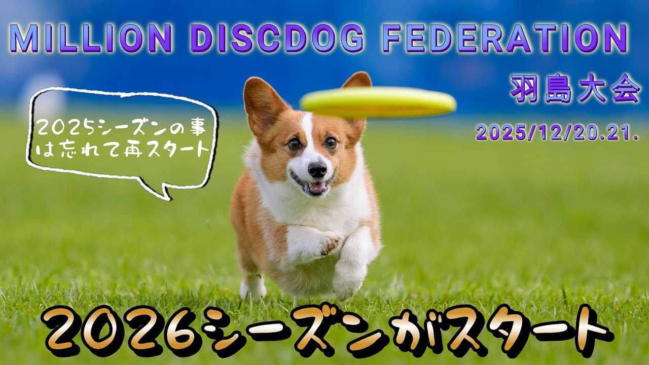 MILLION discdog federation 羽島大会