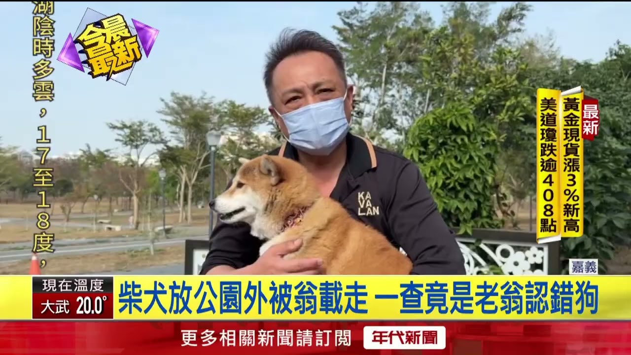 2飼主同日走失愛犬！ 老翁「接錯小孩」全家看傻