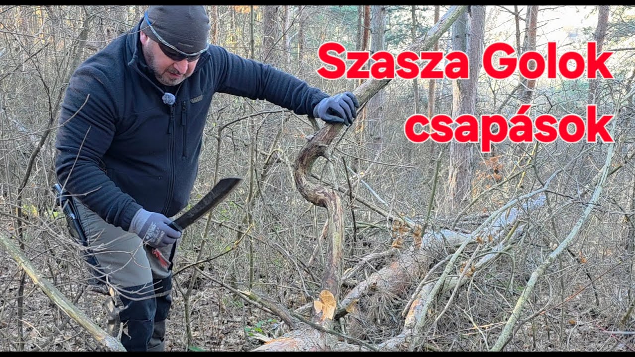 Szasza Golok csapások