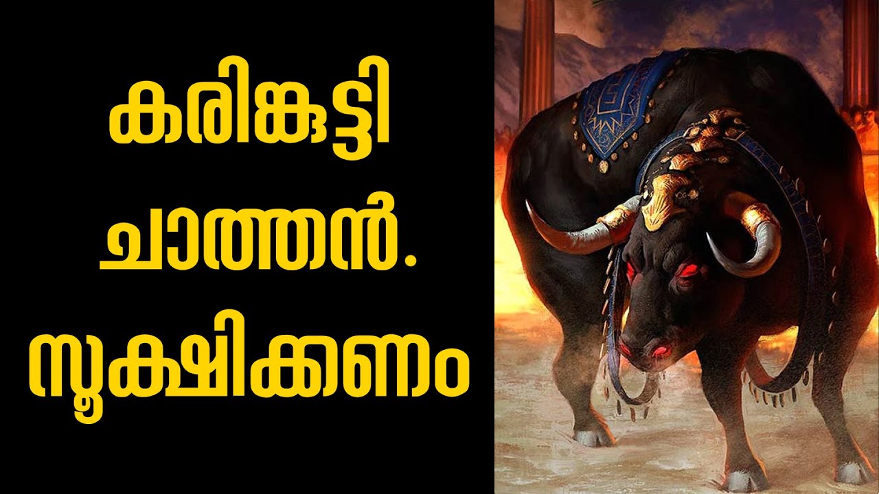 വിളിച്ചാൽ വിളിപ്പുറത്തെത്തും കരിങ്കുട്ടി. മറന്നാൽ കളിചിരിമാറ്റും കരിങ്കുട്ടി. #chathan #vishnumaya
