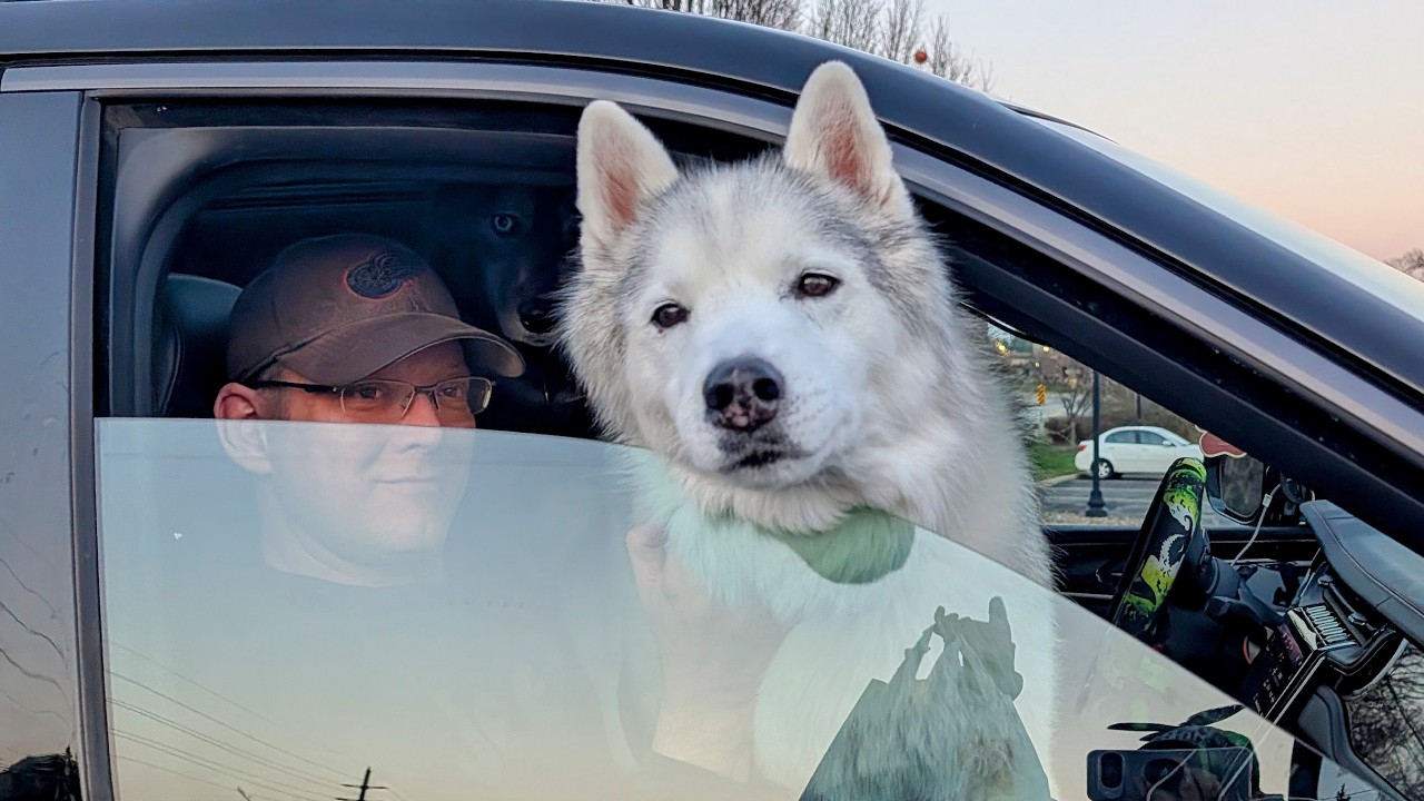 ROAD TRIP! Traveling to Virginia with 3 Siberian Huskies!