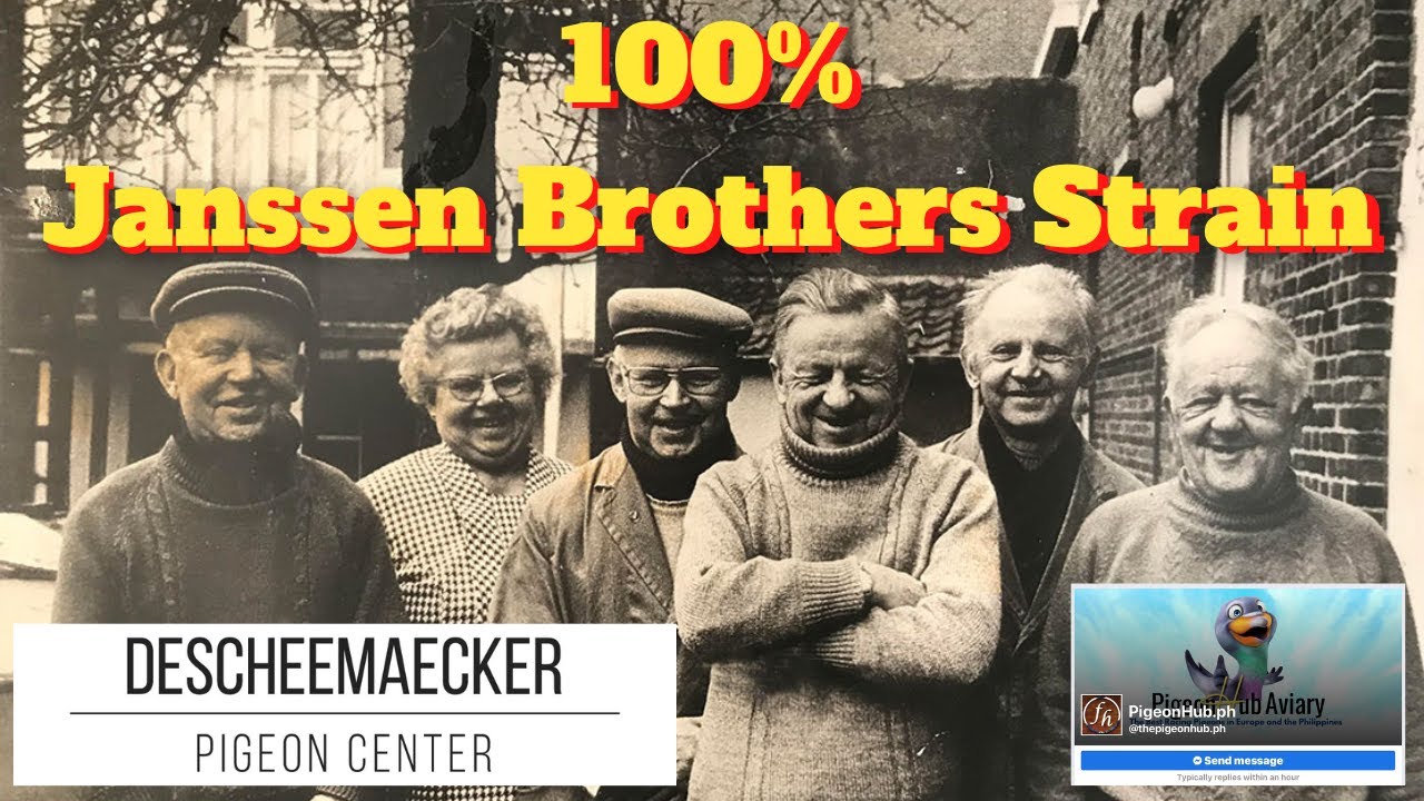 Releasing 100% Janssen Birds