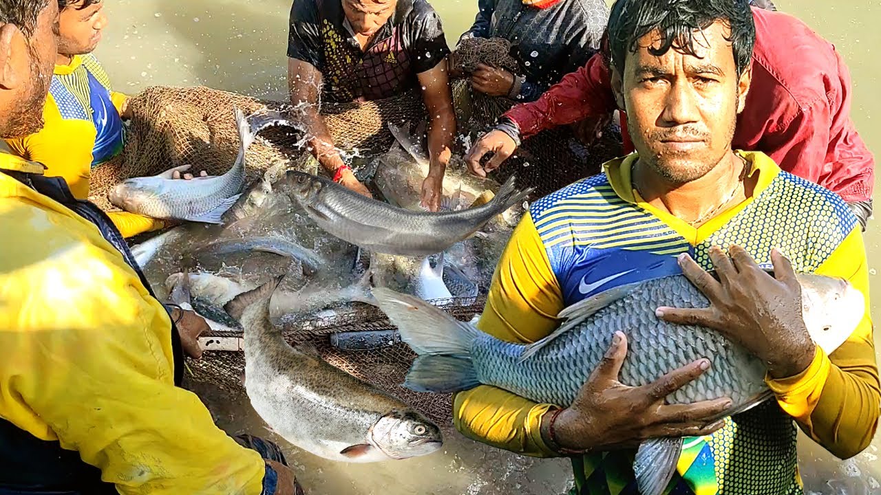 Fish Farming Business Plan - How to Start Fish Farm with High Profit - Fish Growing in Pond