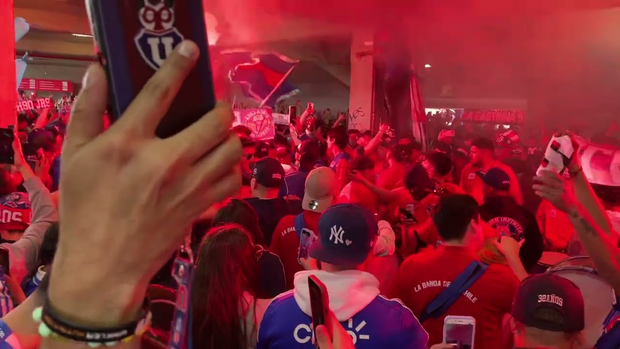 EL BULLA VA CAMINANDO PARA PEDREROS!!! Los de abajo - udechile vs z fecha 19/24