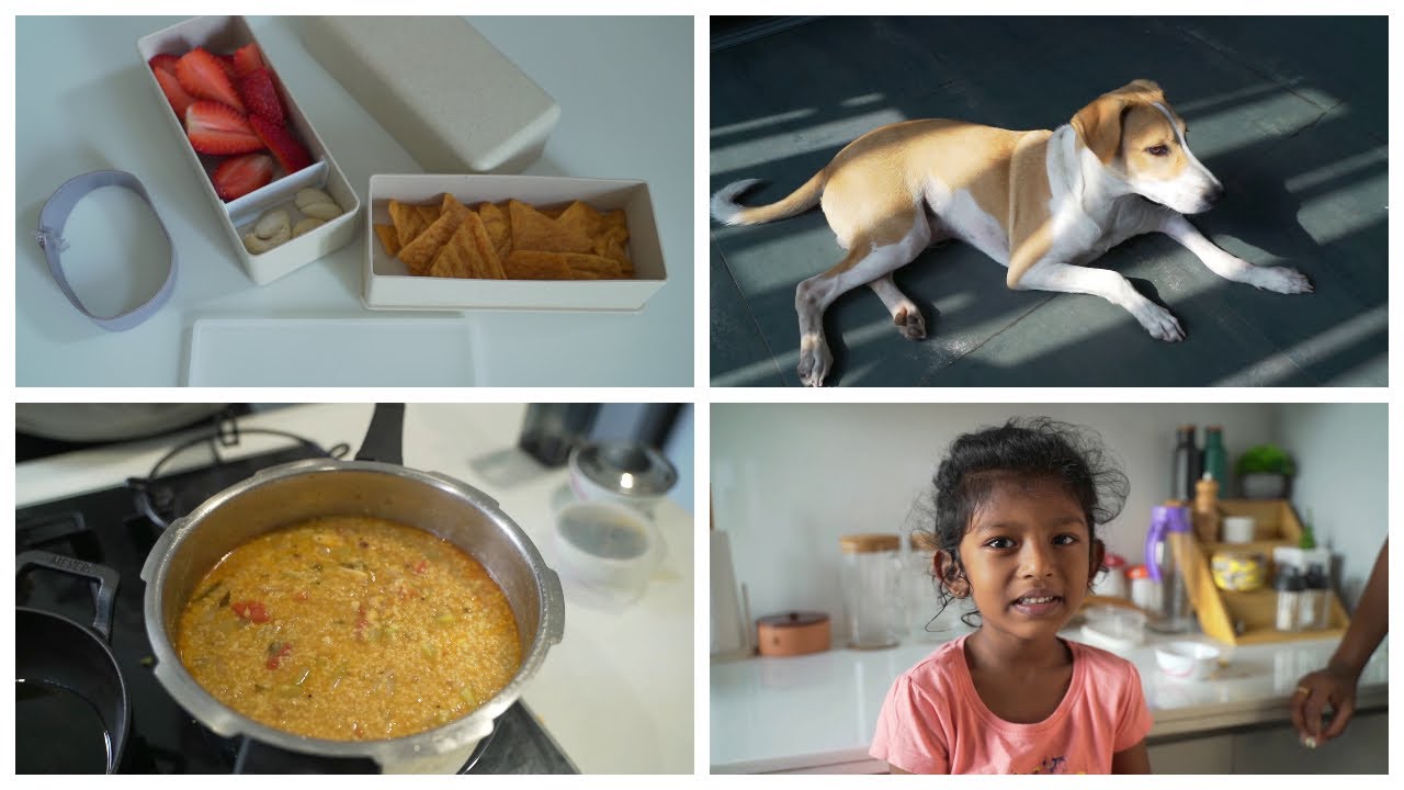 Back to school - how i plan my day? One pot millet rice/Quick breakfast and lunch recipes