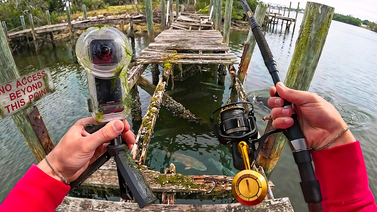 What's Hiding Under an Abandoned Pier?