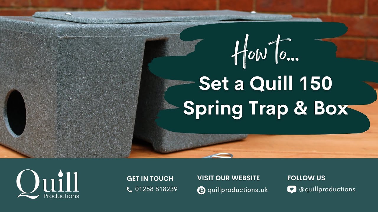 HOW TO: Set a Quill 150 Spring Trap with a Quill 150 Trap Box