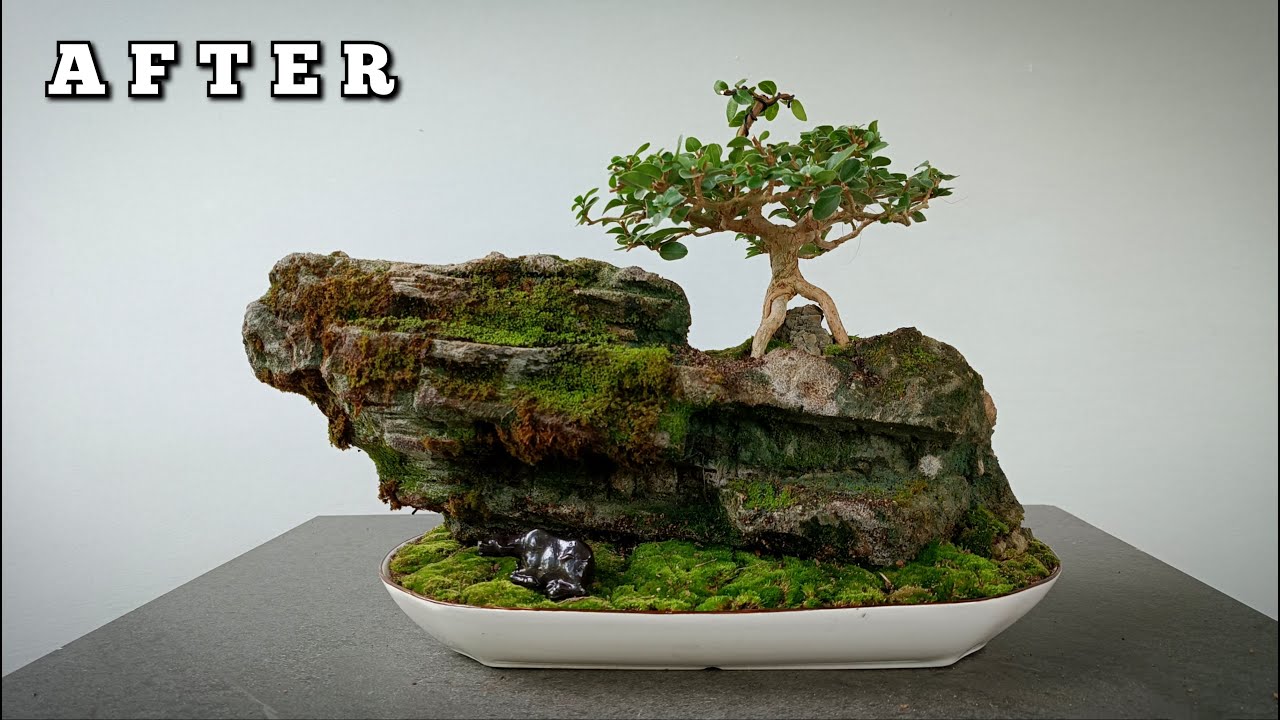 Process Of Making Coral Rock For Bonsai Planting | Bonsai Edit