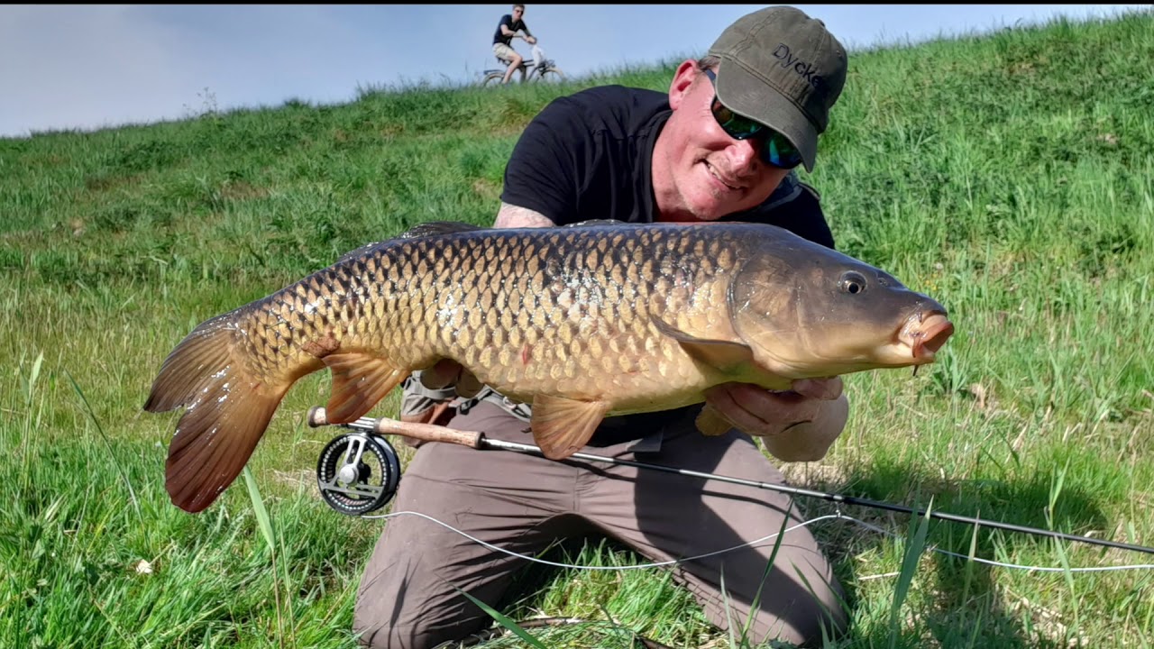 Karper op de vlieg, hoezo verslavend?!