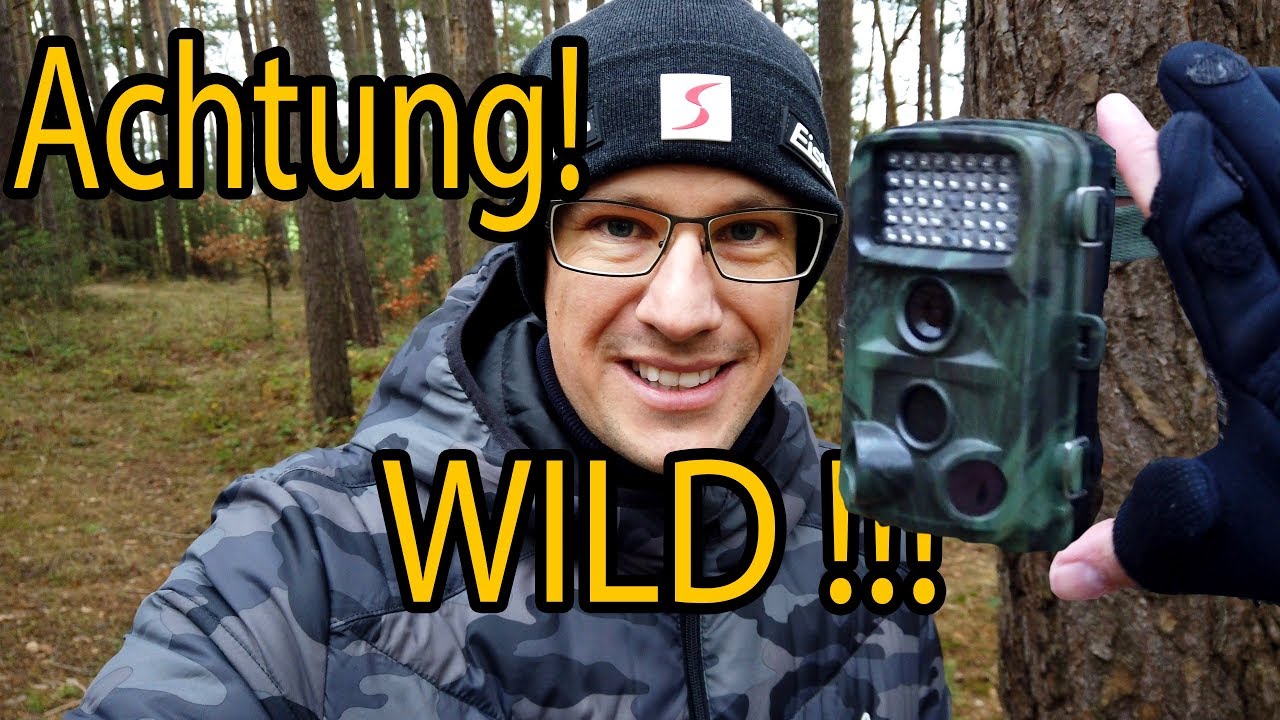 Wildkamera Fotofalle 📸 Was muss ich beachten | meine Tipps!