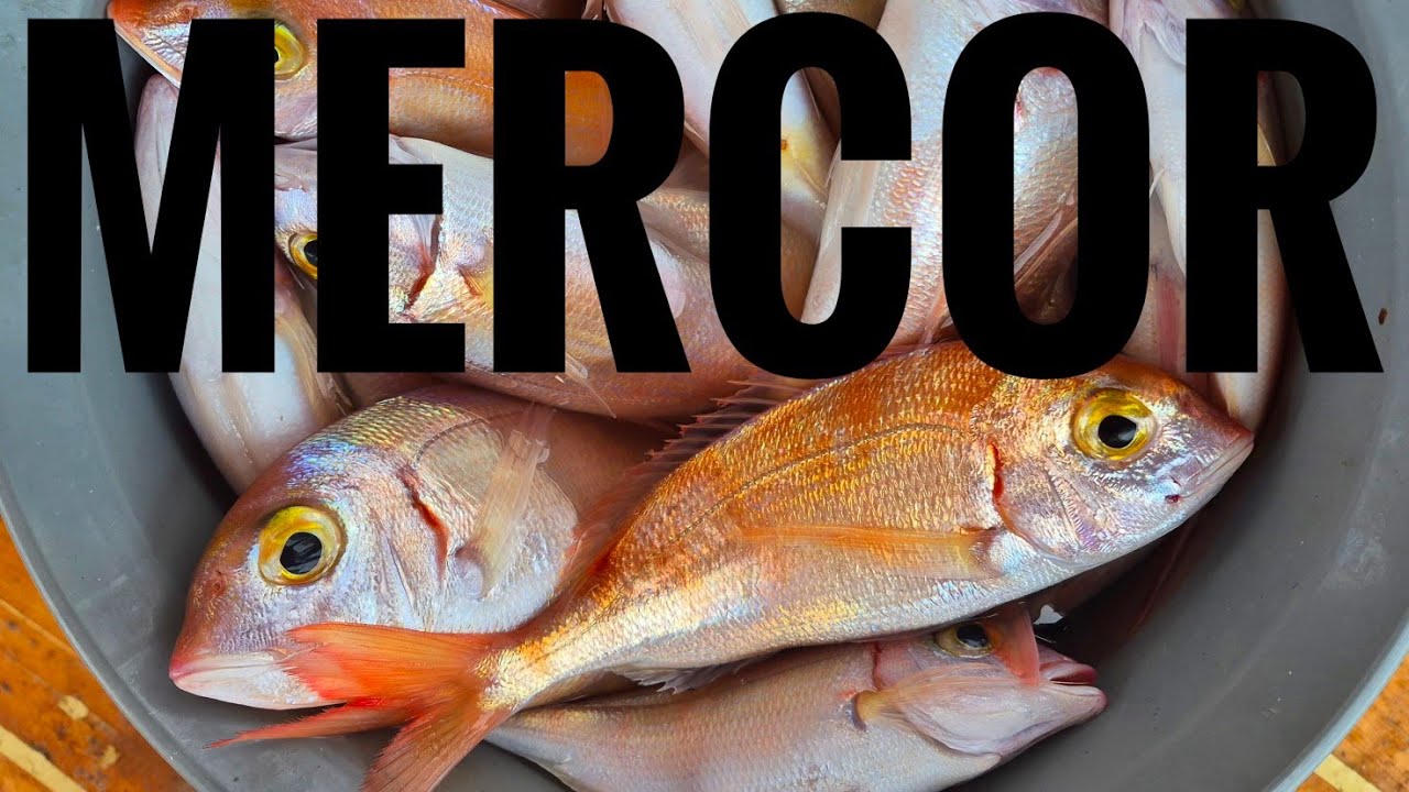 Ortalık pespembe mercan oldu 