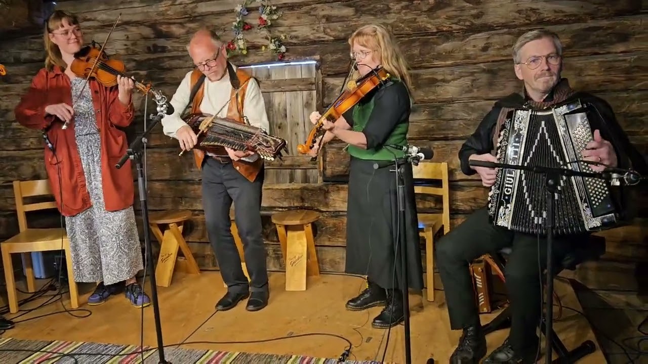 Järvisäcken Fredrik Hangasjärvi Burträsksvängen✨️🪗🎻