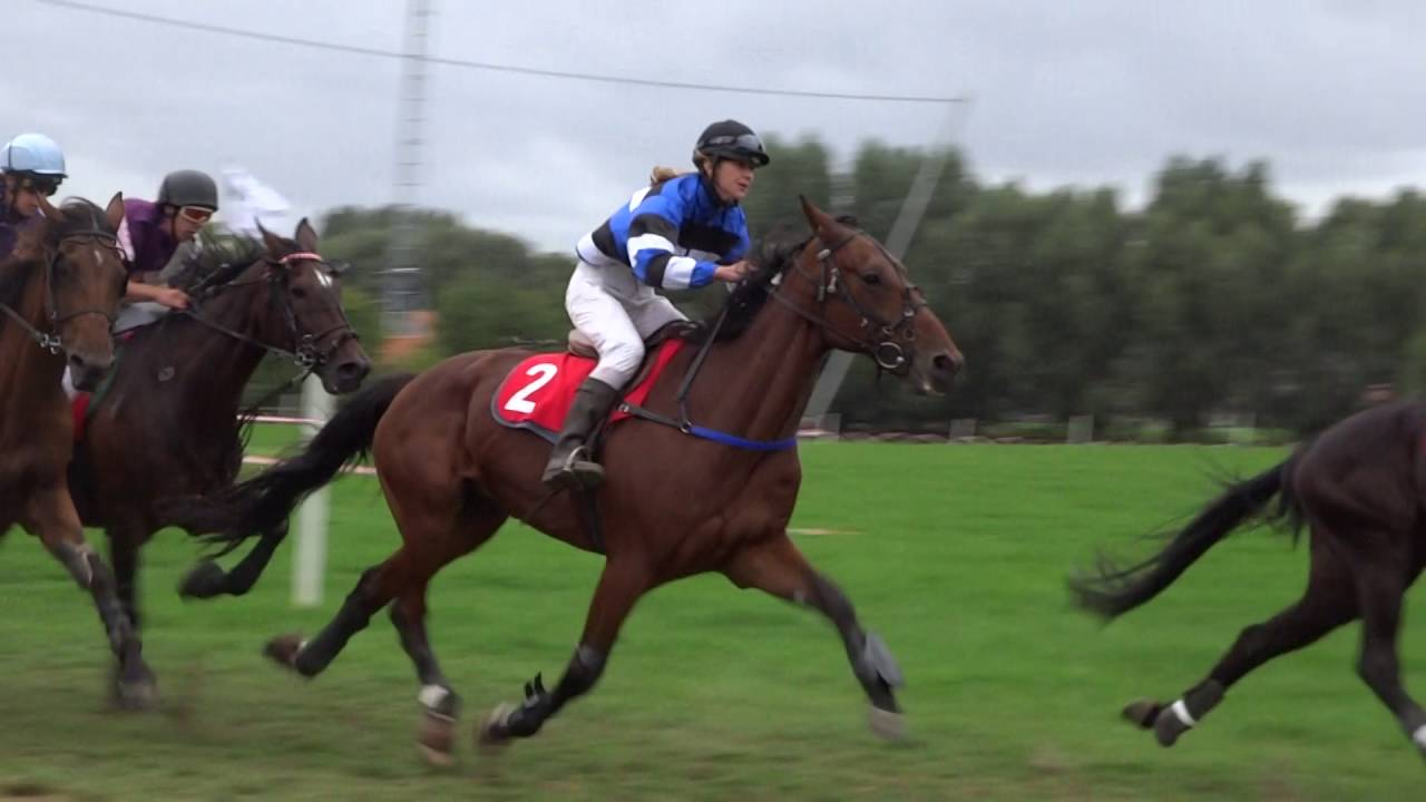 Wielsbeke 4 september 2016  koers 2