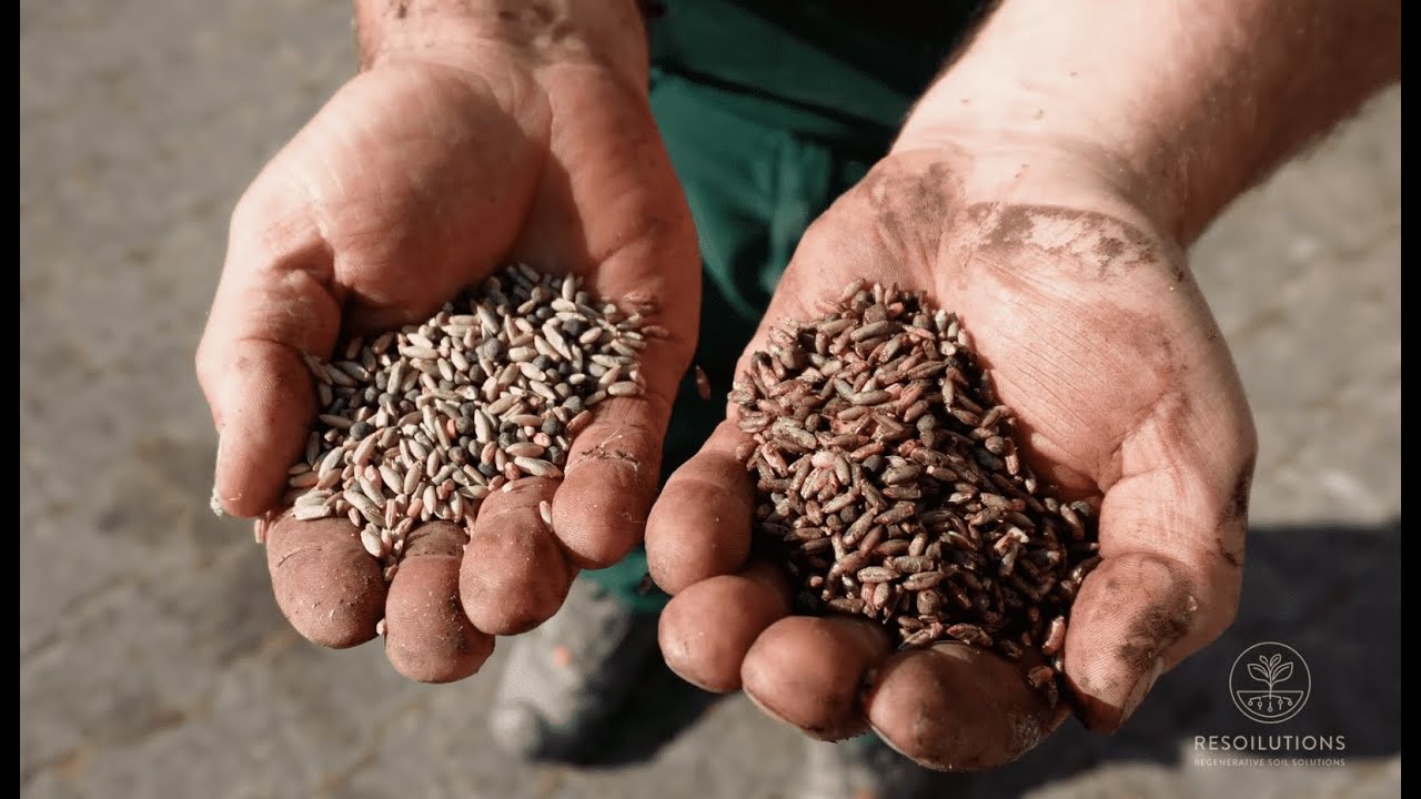 Compost seed coating with Michael Reber