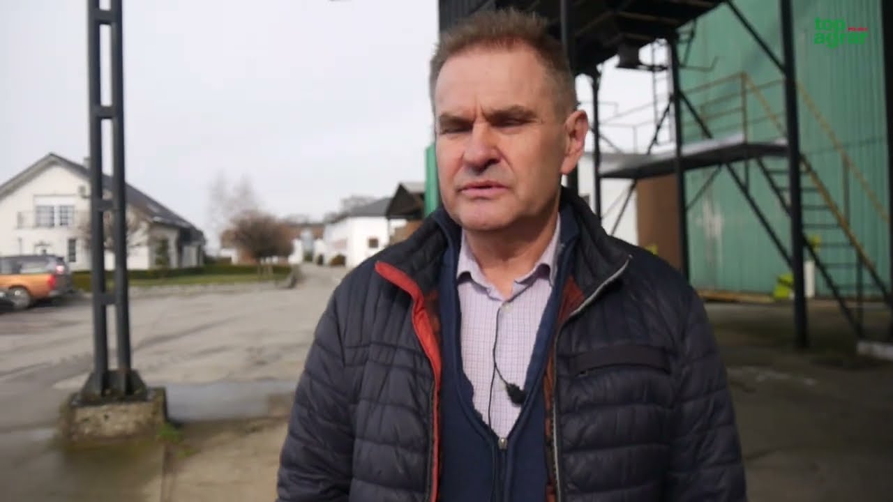 Opłacalność produkcji brojler&oacute;w i jaj. Jak sytuację oceniają hodowcy?
