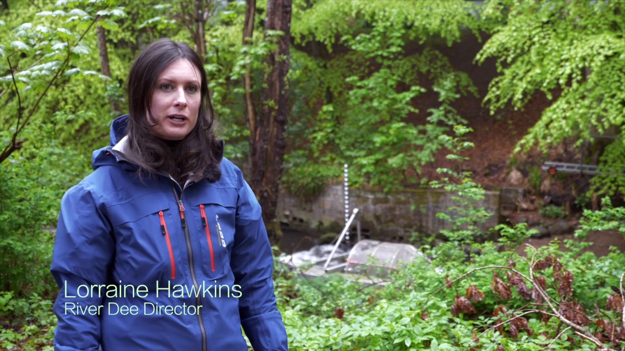 Managing Smolts on the River Dee