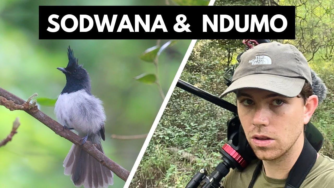 Sodwana Bay and Ndumo Game Reserve - Turtle tours and Bird Watching