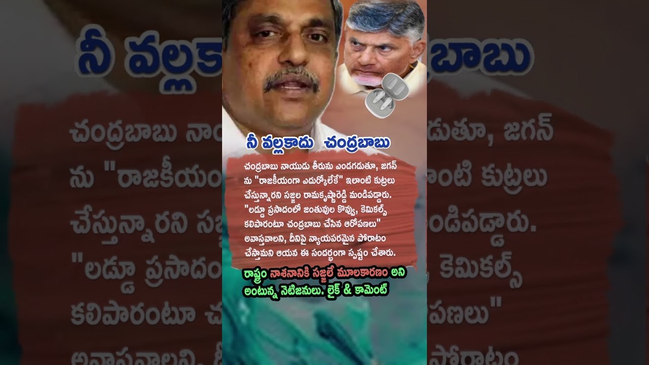 AP Politics, Sajjala Ramakrishna Reddy To Fight Legally On TTD Laddu Issue