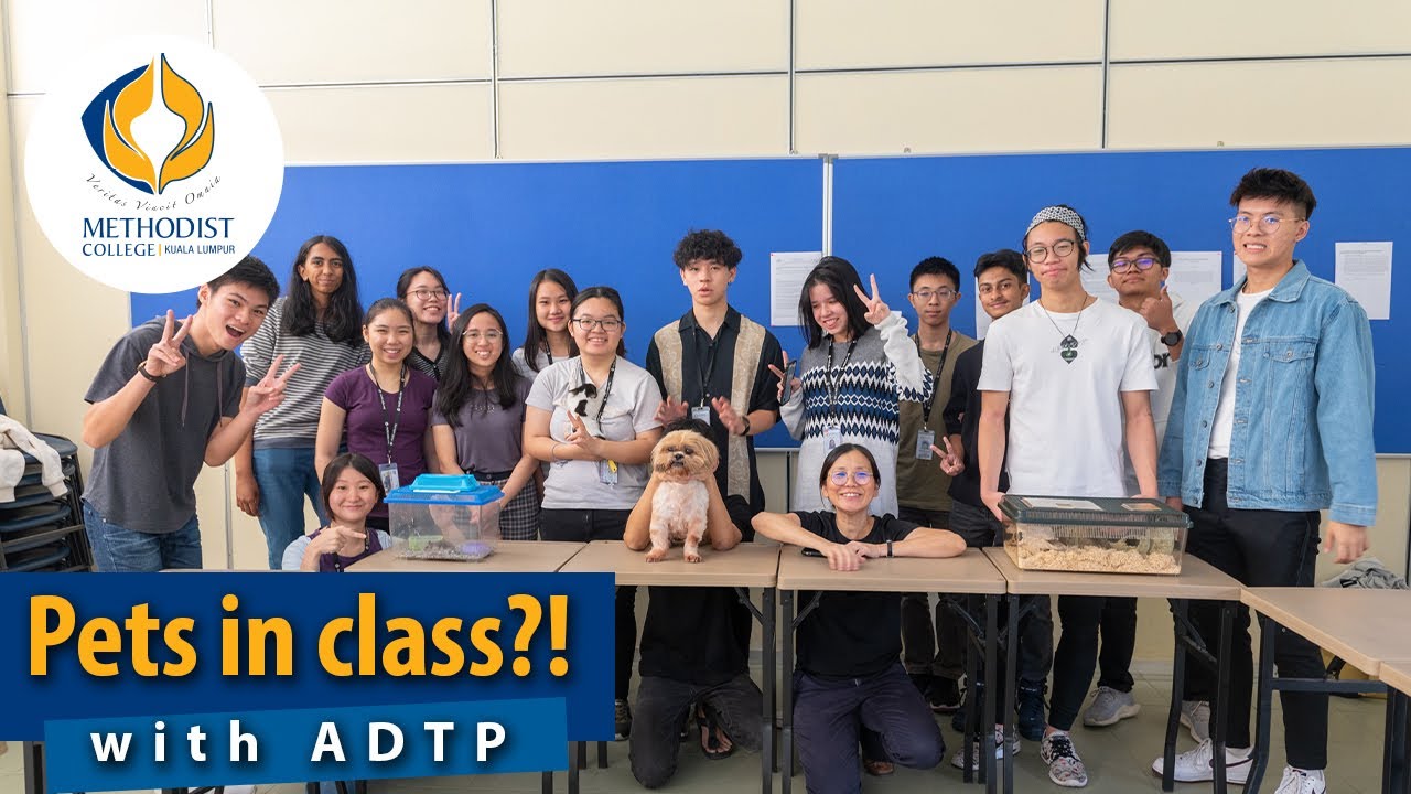 ADTP@MCKL | Pets in class?!