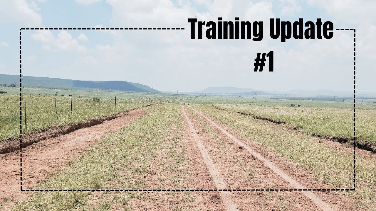 Training Update #1 | Early Signs of Progress