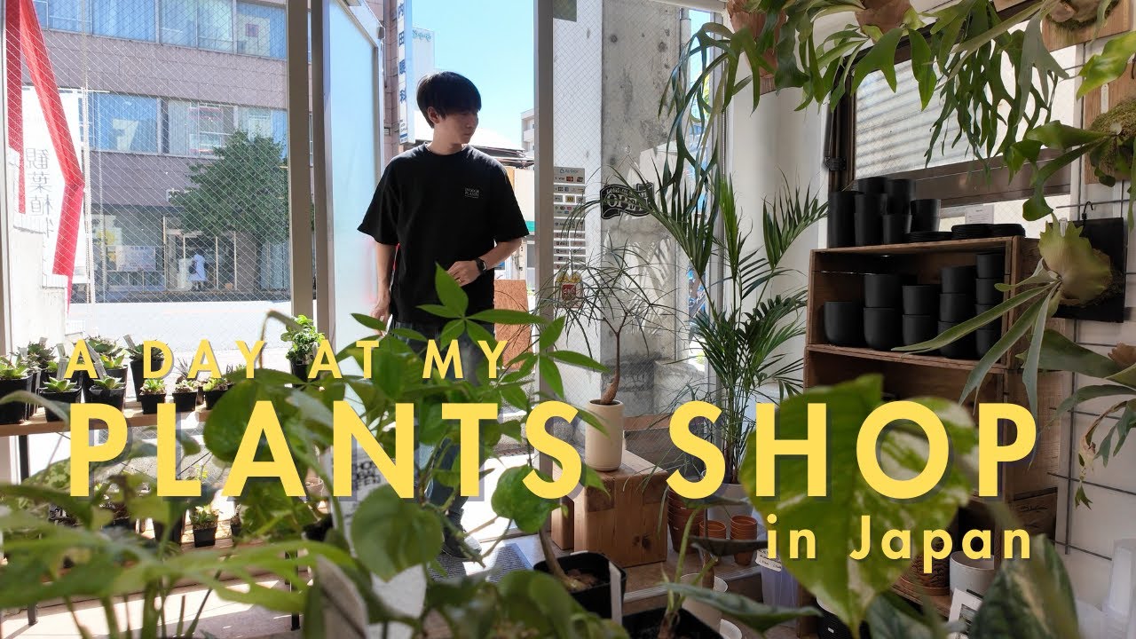 週末だけ営業する小さな植物屋の1日｜A Day at My Small Plant Shop in Japan 🪴
