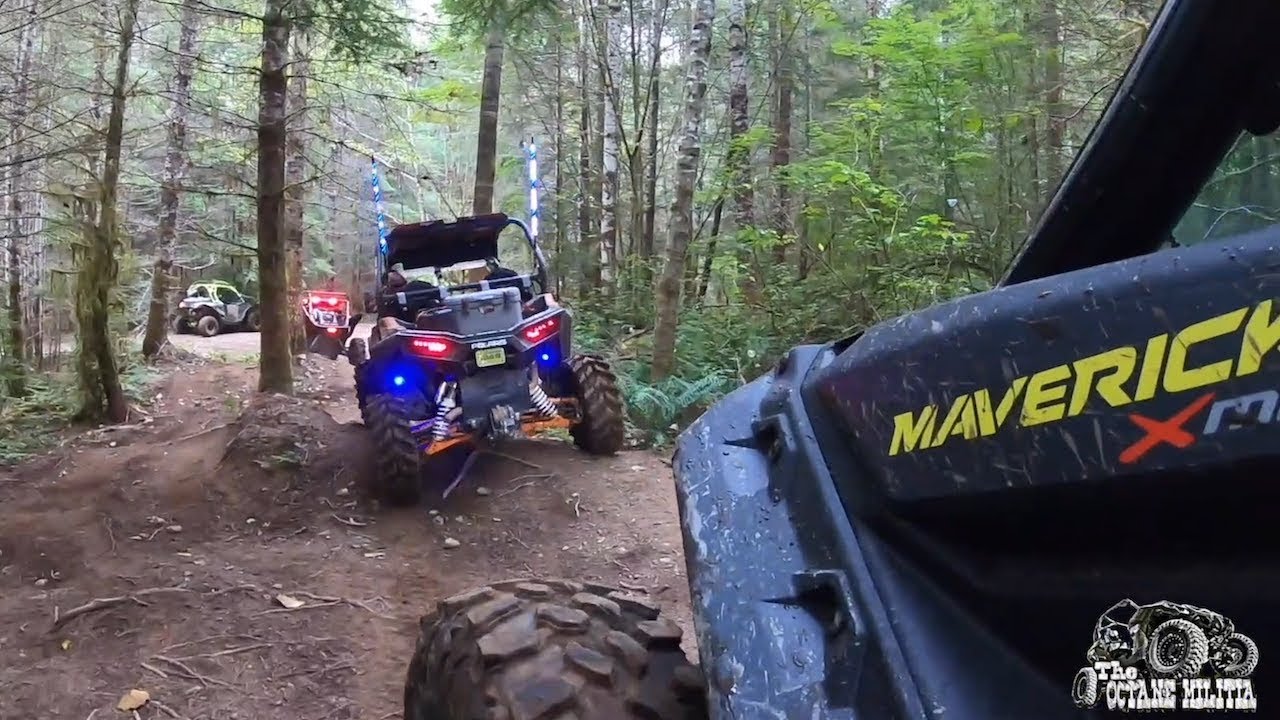 BUCKLE UP AND DROP THE HAMMER! ...gnarly UTV trail riding action!!!