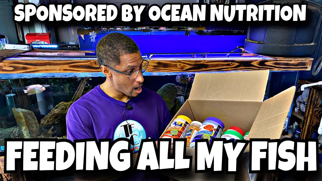 FEEDING ALL MY FISH *VIDEO SPONSORED BY OCEAN NUTRITION*