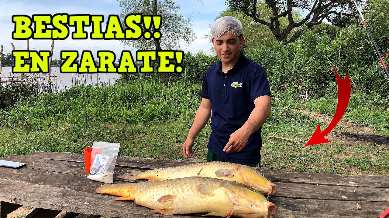 TERRIBLES BESTIAS EN ZARATE , PESCA VARIADA ,PESCA Y COCINA