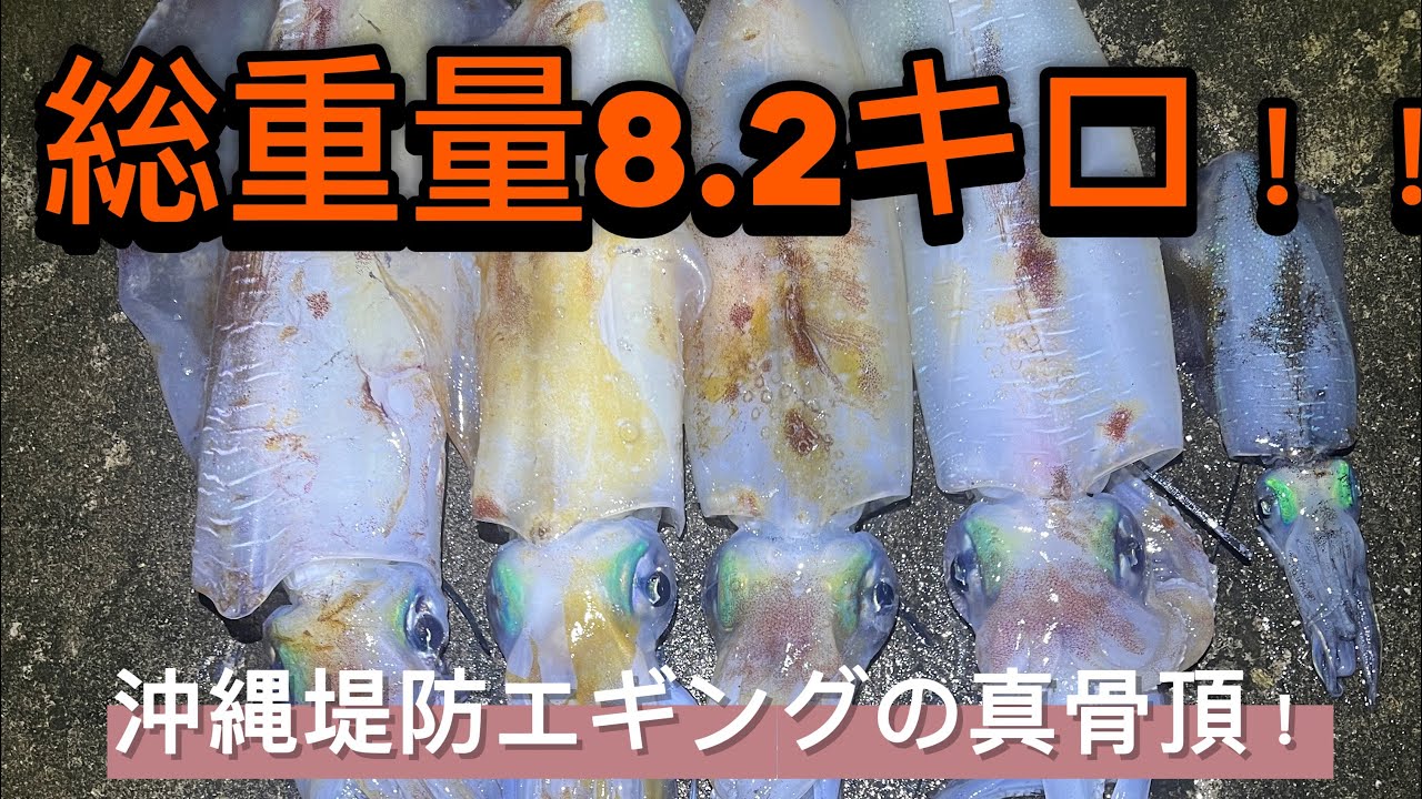レッドモンスター連発！！沖縄堤防エギングの真骨頂！