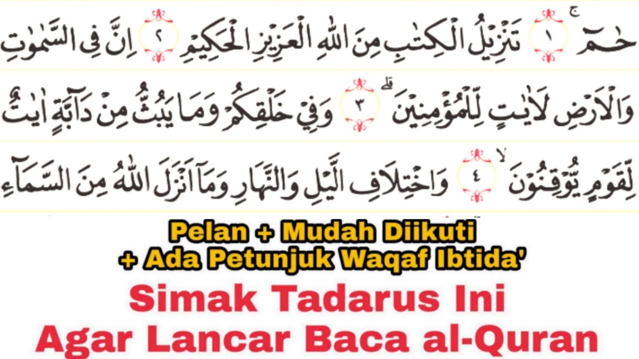 Tadarus Surat al-Jatsiyah Ayat 1-37 (Full) Ada Warna Panjang & Dengung Agar Lancar Baca al-Quran
