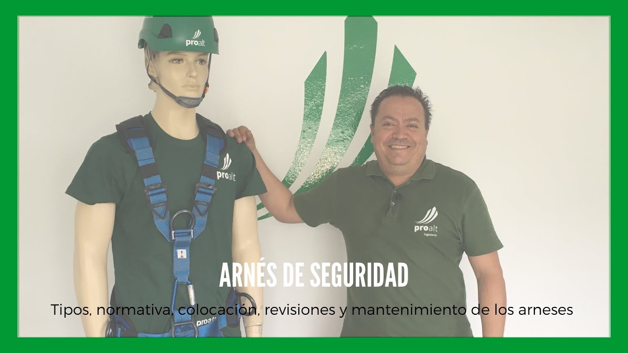 Arneses de seguridad - Proalt Ingeniería
