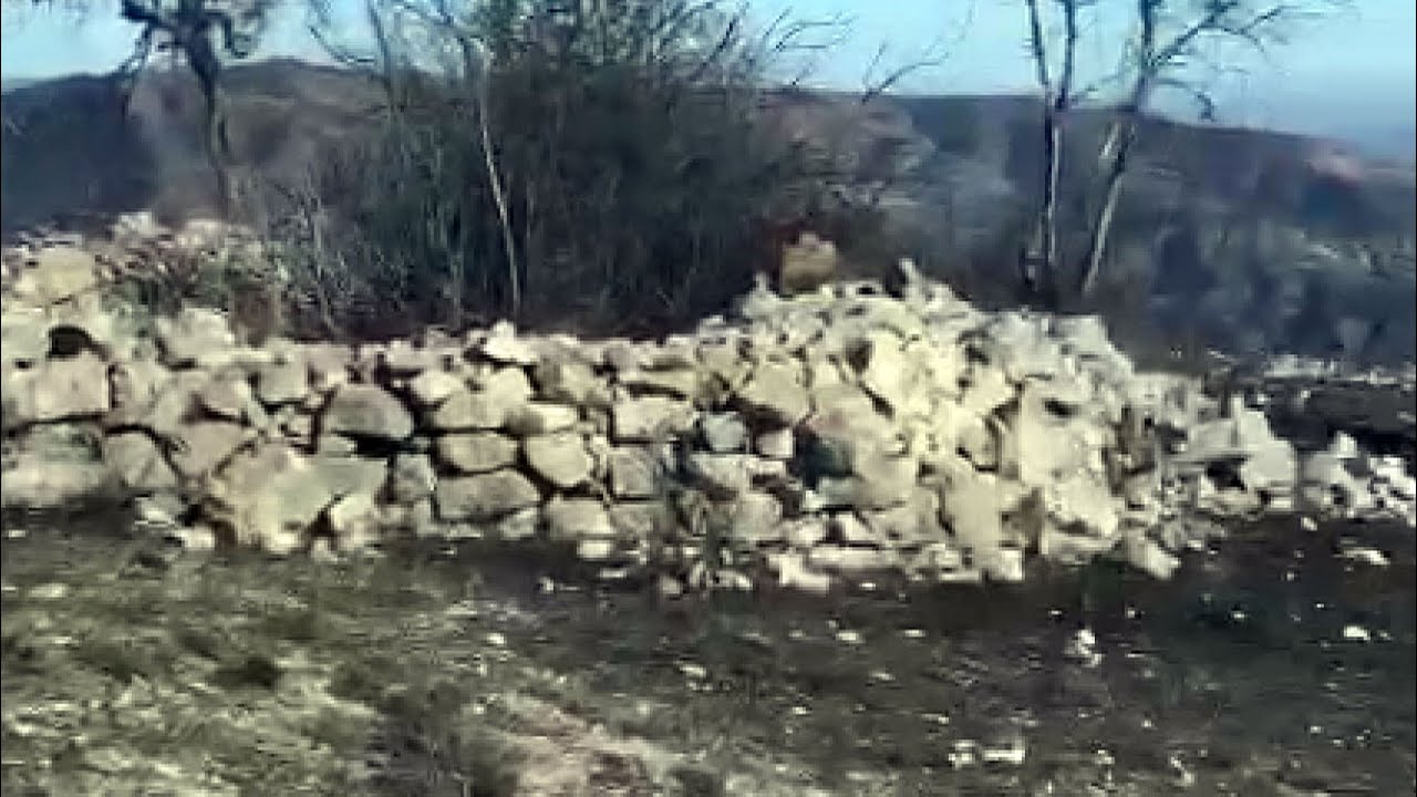 Cəbrayil rayonu Tumas Ata  Ziyarətgahın Ekiskuliziv Goruntusu