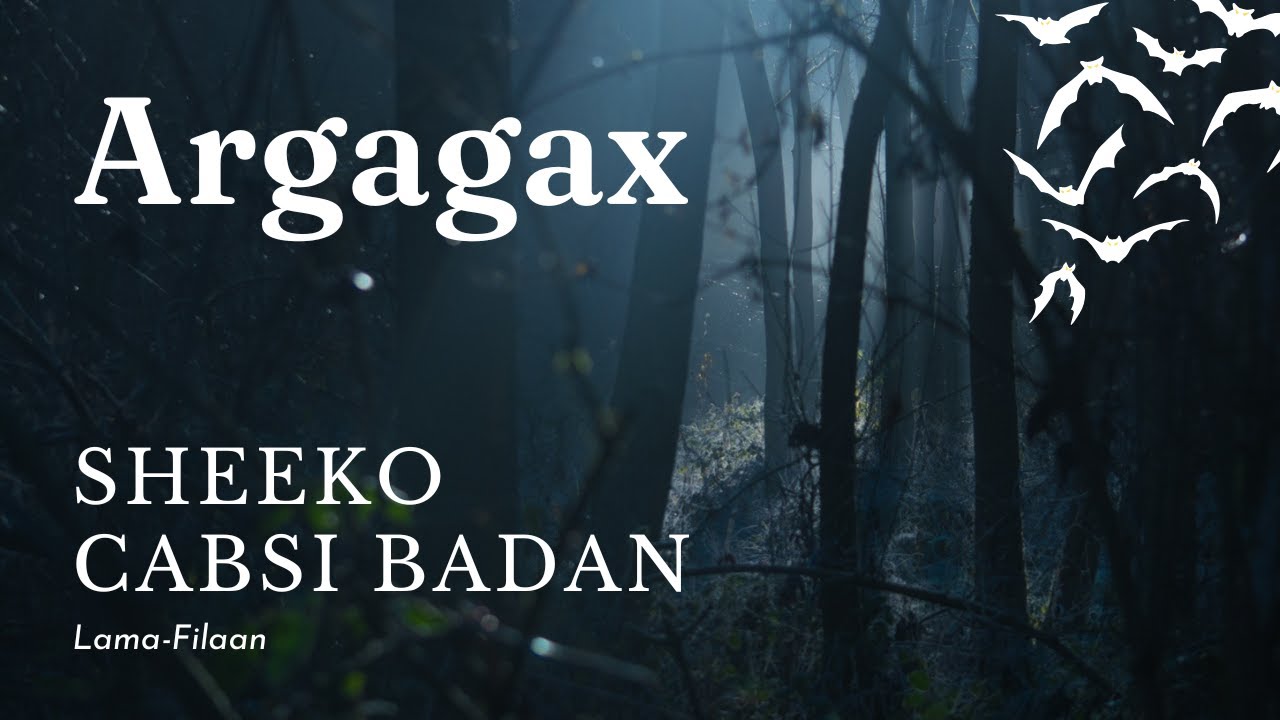 Marti Aan La Filayn |Qiso Argagax Leh|