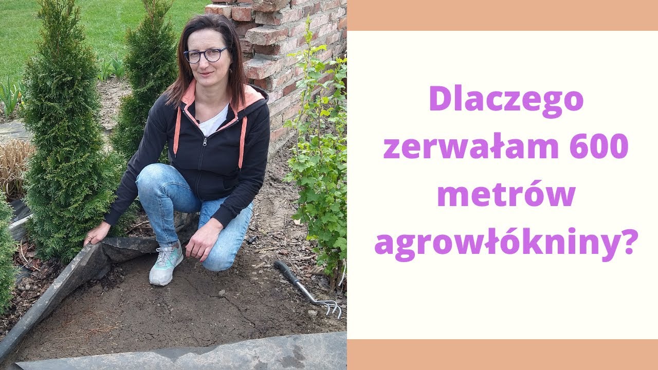 Dlaczego zerwałam 600 metrów agrowłókniny w moim ogrodzie?