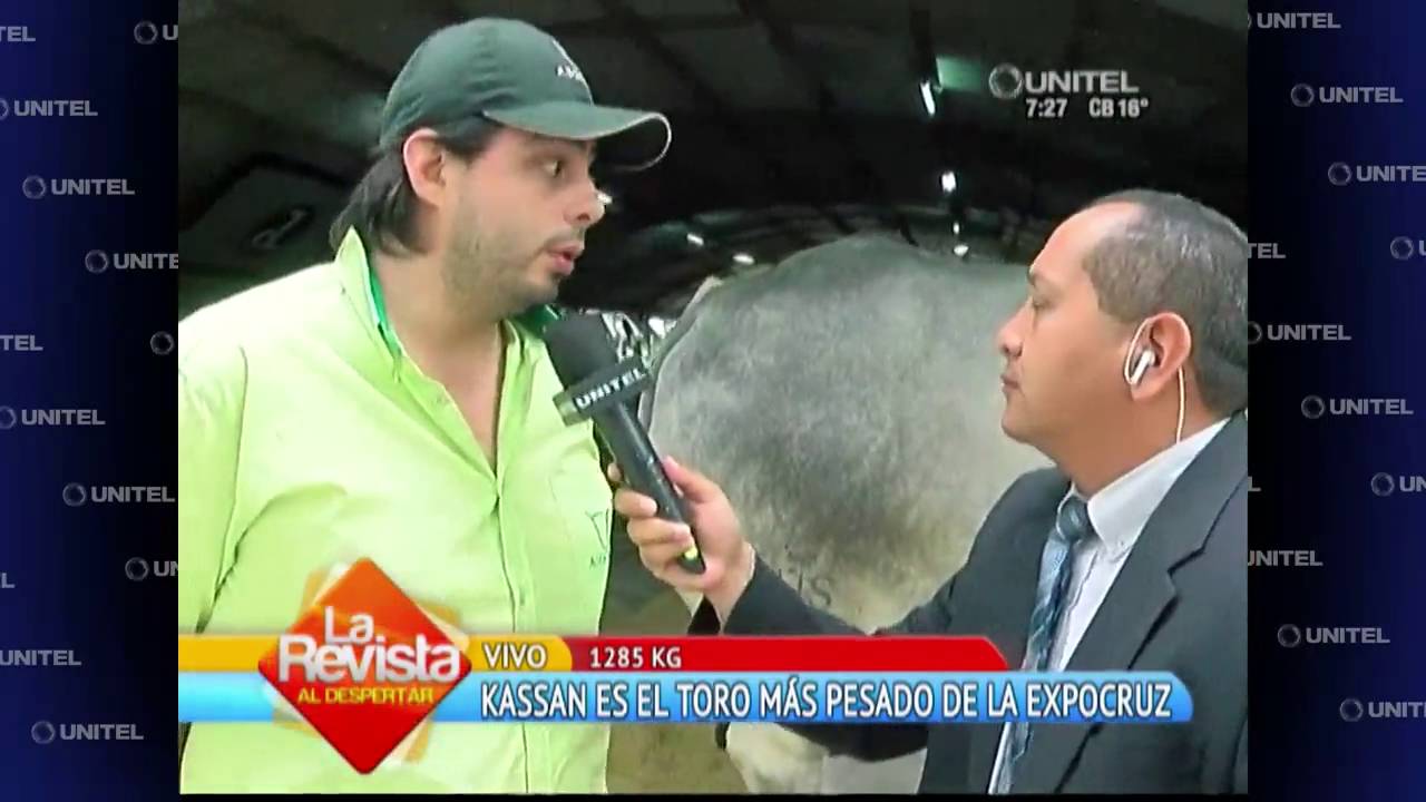 Kassan es el toro más pesado de Expocruz 2016 con 1285 kilos