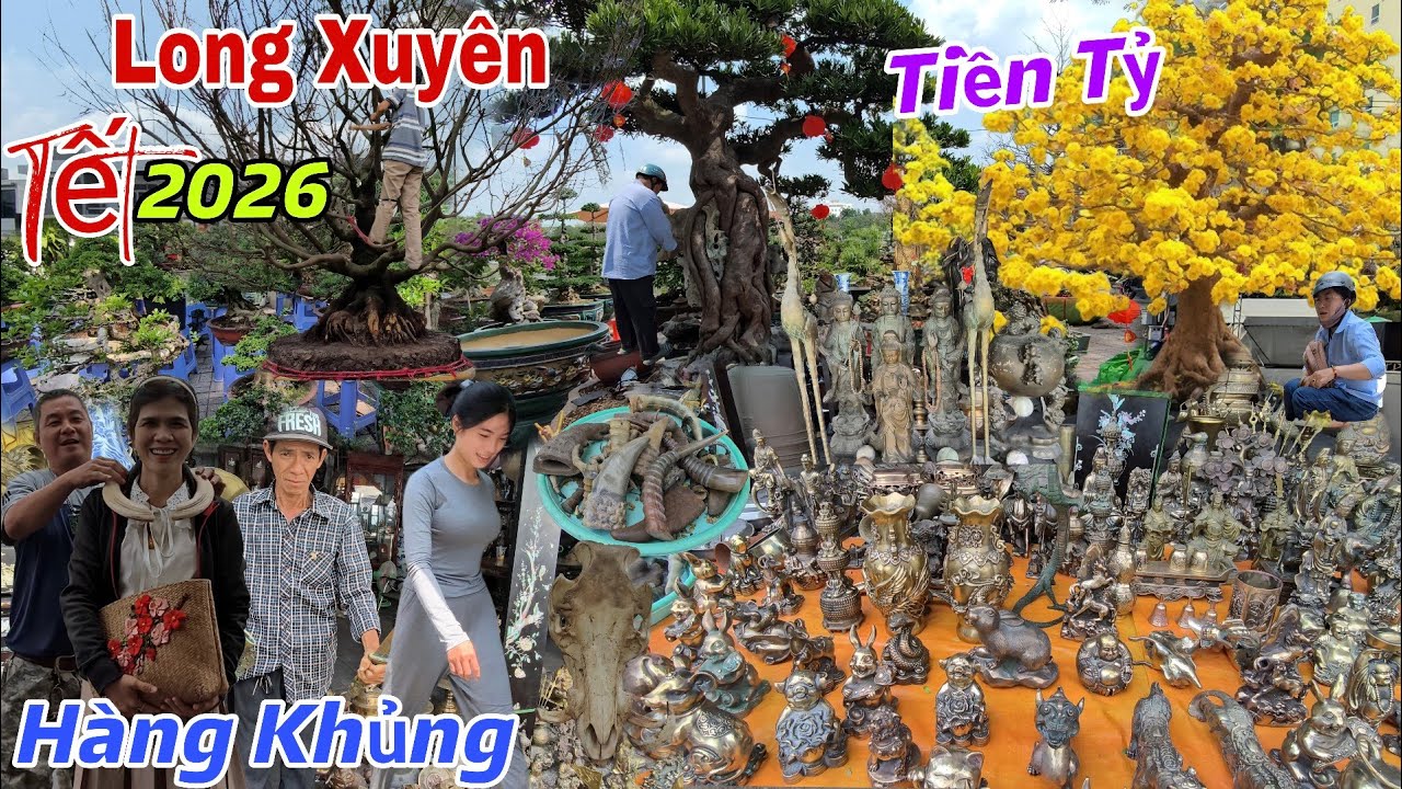 Choáng Ngợp Đường Hoa Xuân Long Xuyên - Mai Vàng Tiền Tỷ Được Chào Bán, Xuất Hiện Nhiều Đồ Cổ Độc Lạ