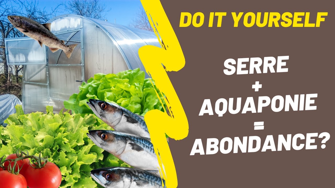 Construire une serre aquaponique : Autonomie et Productivit&eacute;