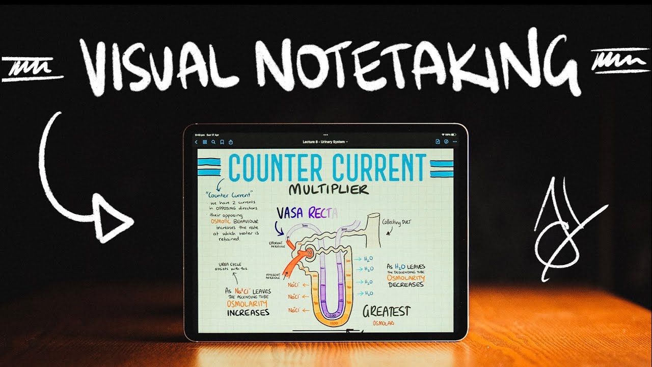 How to Draw and Take Visual Notes | iPad Note Taking HACK