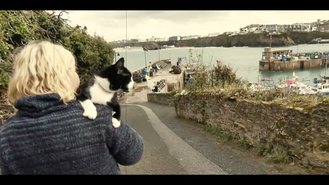 Cornwall cat - Dzikun   HD 1080p