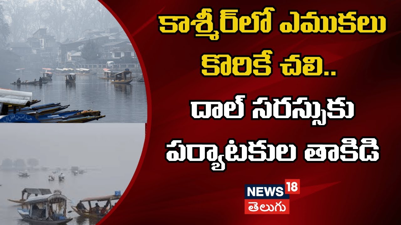 Cold Wave In Kashmir At Dal Lake|కాశ్మీర్‌లో ఎముకలు కొరికే చలి..దాల్ సరస్సుకు పర్యాటకుల తాకిడి| N18V