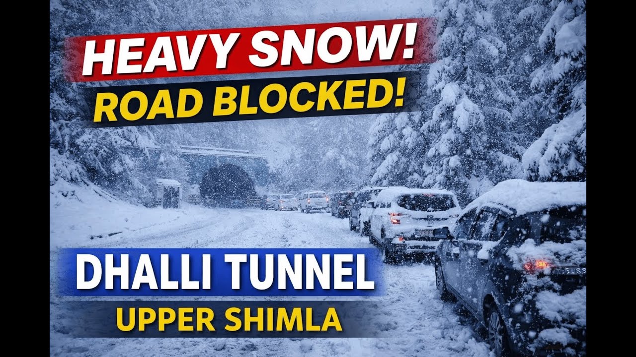 Heavy Snowfall at Dhalli Tunnel | Upper Shimla Road Blocked & Traffic Update 25 Jan 2026
