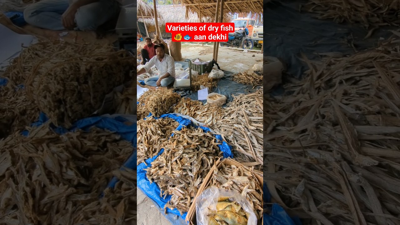 Varieties of dry fish 🐠🐟 || Ajeebo kism ke sukhaa machlee #shorts #ytshortvideo #dryfish #fish