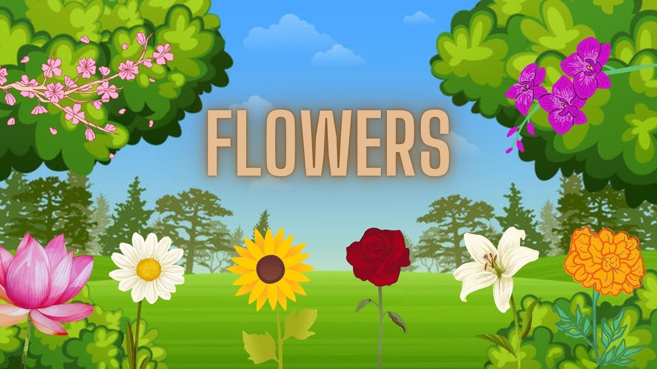 Flowers Song | Tiny_Tales_TT | #rose #sunflower #lotus #mariegold #orchids #lilly #cherry #daisy